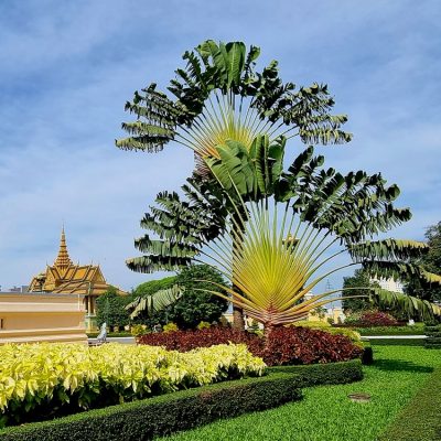 Cambodge et Laos — étape 1 : Phnom Penh
