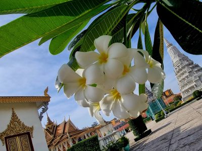 Cambodge et Laos — étape 1 : Phnom Penh