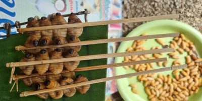 Cambodge et Laos — étape 10 : Vang Vieng