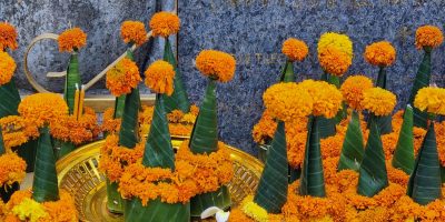 Cambodge et Laos — étape 11 : Luang Prabang