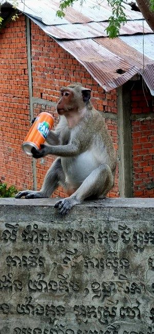 Cambodge et Laos — étape 3 : Battambang