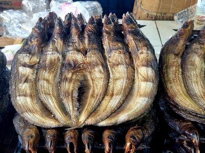 Cambodge et Laos — étape 3 : Battambang