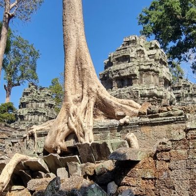 Cambodge et Laos — étape 5 : Siem Reap - Angkor
