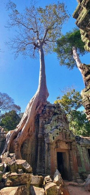 Cambodge et Laos — étape 5 : Siem Reap - Angkor