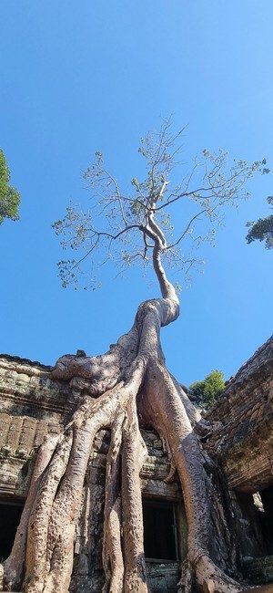 Cambodge et Laos — étape 5 : Siem Reap - Angkor
