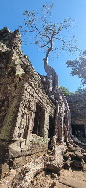 Cambodge et Laos — étape 5 : Siem Reap - Angkor