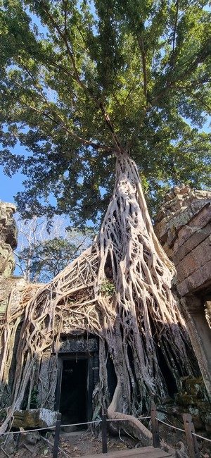 Cambodge et Laos — étape 5 : Siem Reap - Angkor