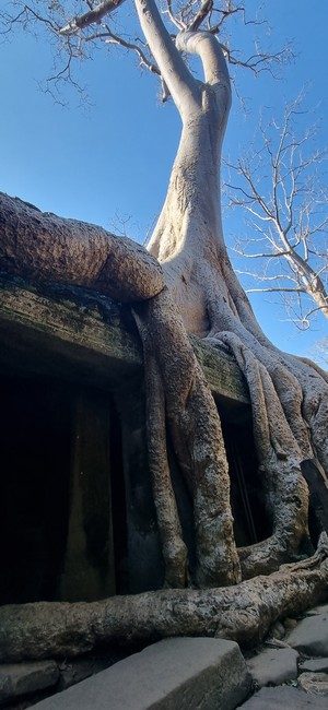 Cambodge et Laos — étape 5 : Siem Reap - Angkor