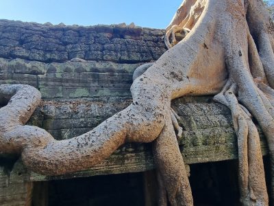 Cambodge et Laos — étape 5 : Siem Reap - Angkor
