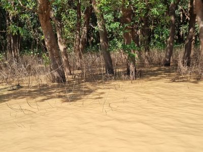 Cambodge et Laos — étape 6 : Siam Reap - Phluk