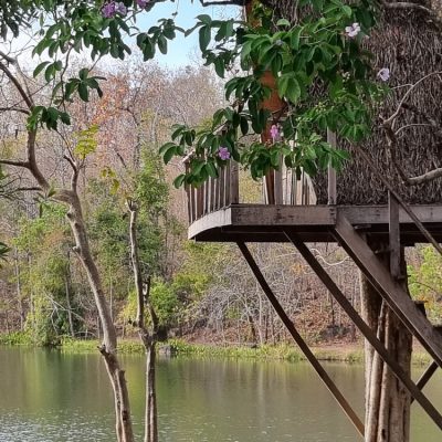 Cambodge et Laos — étape 8 : Paksé - Plateau des Bolovens