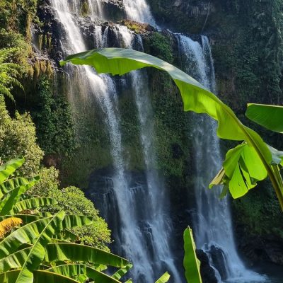 Cambodge et Laos — étape 8 : Paksé - Plateau des Bolovens
