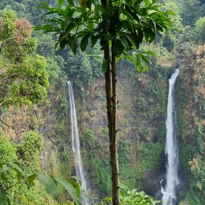 Cambodge et Laos — étape 8 : Paksé - Plateau des Bolovens