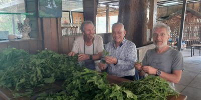 Cambodge et Laos — étape 8 : Paksé - Plateau des Bolovens