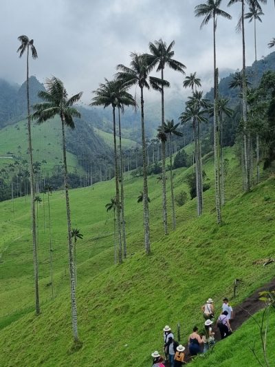 Colombie — étape 2 : Bogota -> Peirera -> Salento -> Valle de Cocora