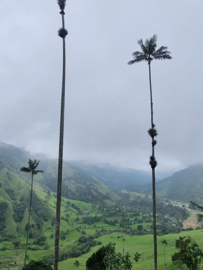 Colombie — étape 2 : Bogota -> Peirera -> Salento -> Valle de Cocora