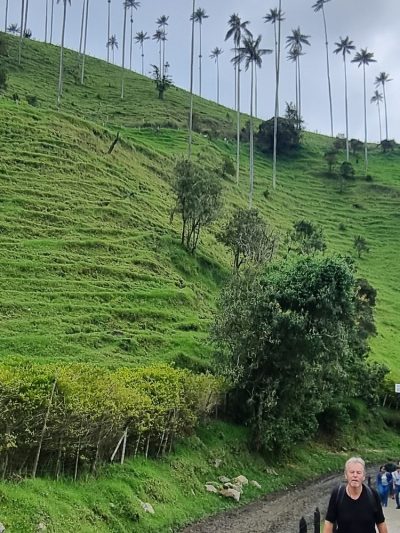 Colombie — étape 2 : Bogota -> Peirera -> Salento -> Valle de Cocora