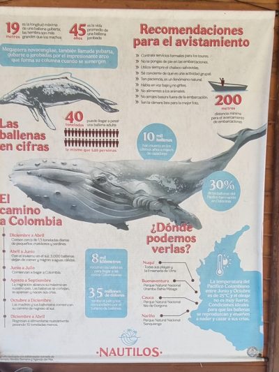 Colombie — étape 5 : Medellin -> Nuqui