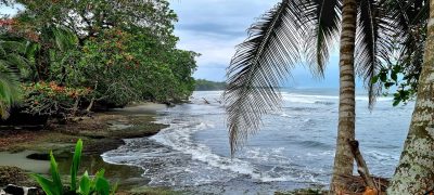 Costa Rica - Pura Vida ! — étape 1 : San Jose > Cahuita