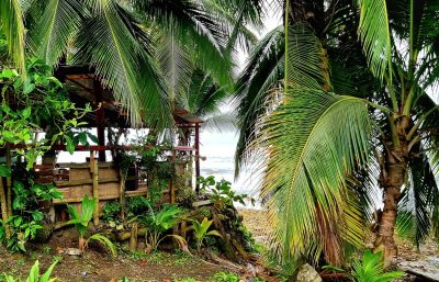 Costa Rica - Pura Vida ! — étape 1 : San Jose > Cahuita