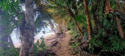 Costa Rica - Pura Vida ! — étape 1 : San Jose > Cahuita