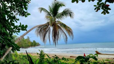 Costa Rica - Pura Vida ! — étape 1 : San Jose > Cahuita