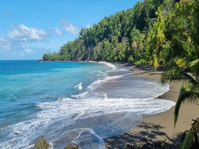 Costa Rica - Pura Vida ! – Étape 10 – Corcovado (Drake Bay)