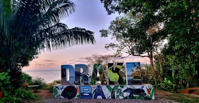 Costa Rica - Pura Vida ! — étape 10 : Corcovado (Drake Bay)