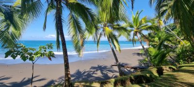Costa Rica - Pura Vida ! — étape 10 : Corcovado (Drake Bay)