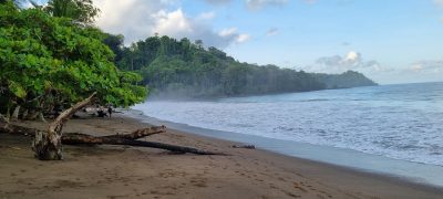 Costa Rica - Pura Vida ! — étape 10 : Corcovado (Drake Bay)