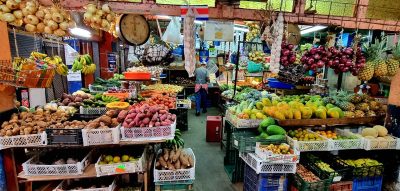 Costa Rica - Pura Vida ! — étape 12 : San Jose