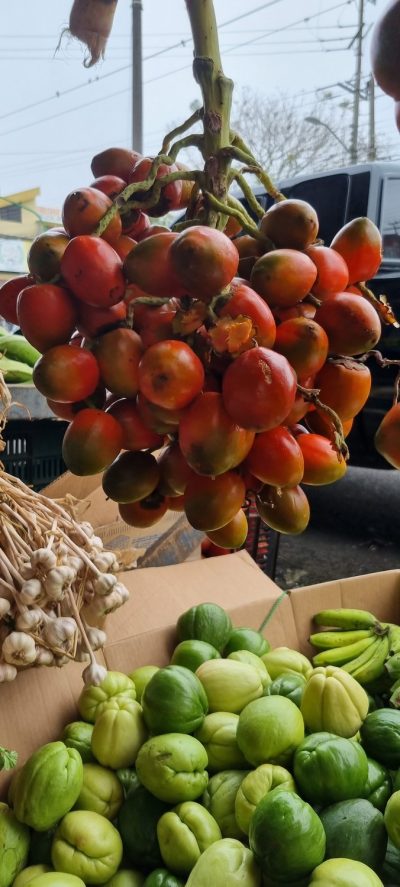 Costa Rica - Pura Vida ! — étape 13 : San Jose > Cartago