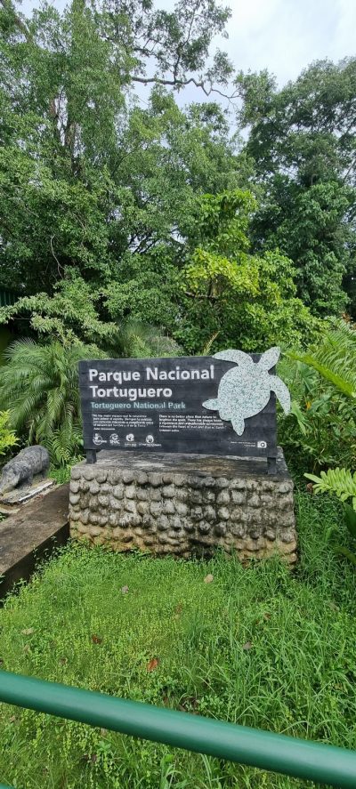 Costa Rica - Pura Vida ! — étape 2 : Cahuita > Tortuguero
