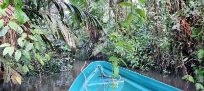 Costa Rica - Pura Vida ! — étape 2 : Cahuita > Tortuguero