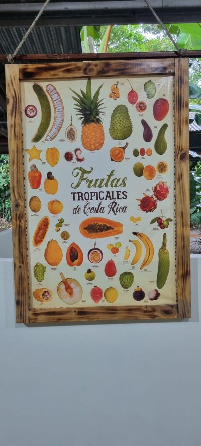 Costa Rica - Pura Vida ! — étape 3 : Tortuguero > La Fortuna