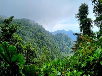 Costa Rica - Pura Vida ! – Étape 4 – La Fortuna > Monteverde