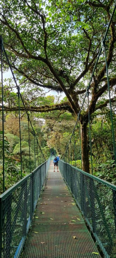 Costa Rica - Pura Vida ! — étape 5 : Monteverde