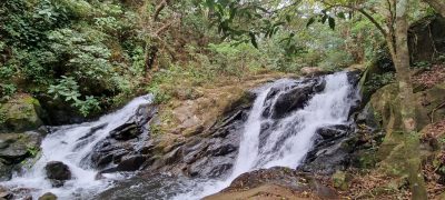 Costa Rica - Pura Vida ! — étape 6 : Monteverde > Colonia Blanca (Alajuela)