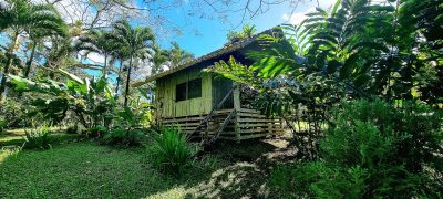 Costa Rica - Pura Vida ! — étape 6 : Monteverde > Colonia Blanca (Alajuela)