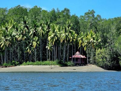 Costa Rica - Pura Vida ! – Étape 9 – Quepos > Sierpe > Corcovado