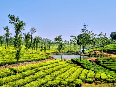 Inde - Sri Lanka — étape 10 : Trichy - Colombo