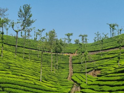 Inde - Sri Lanka — étape 10 : Trichy - Colombo