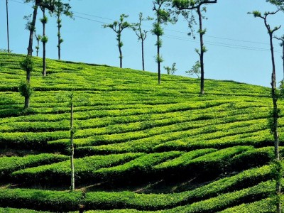 Inde - Sri Lanka — étape 10 : Trichy - Colombo