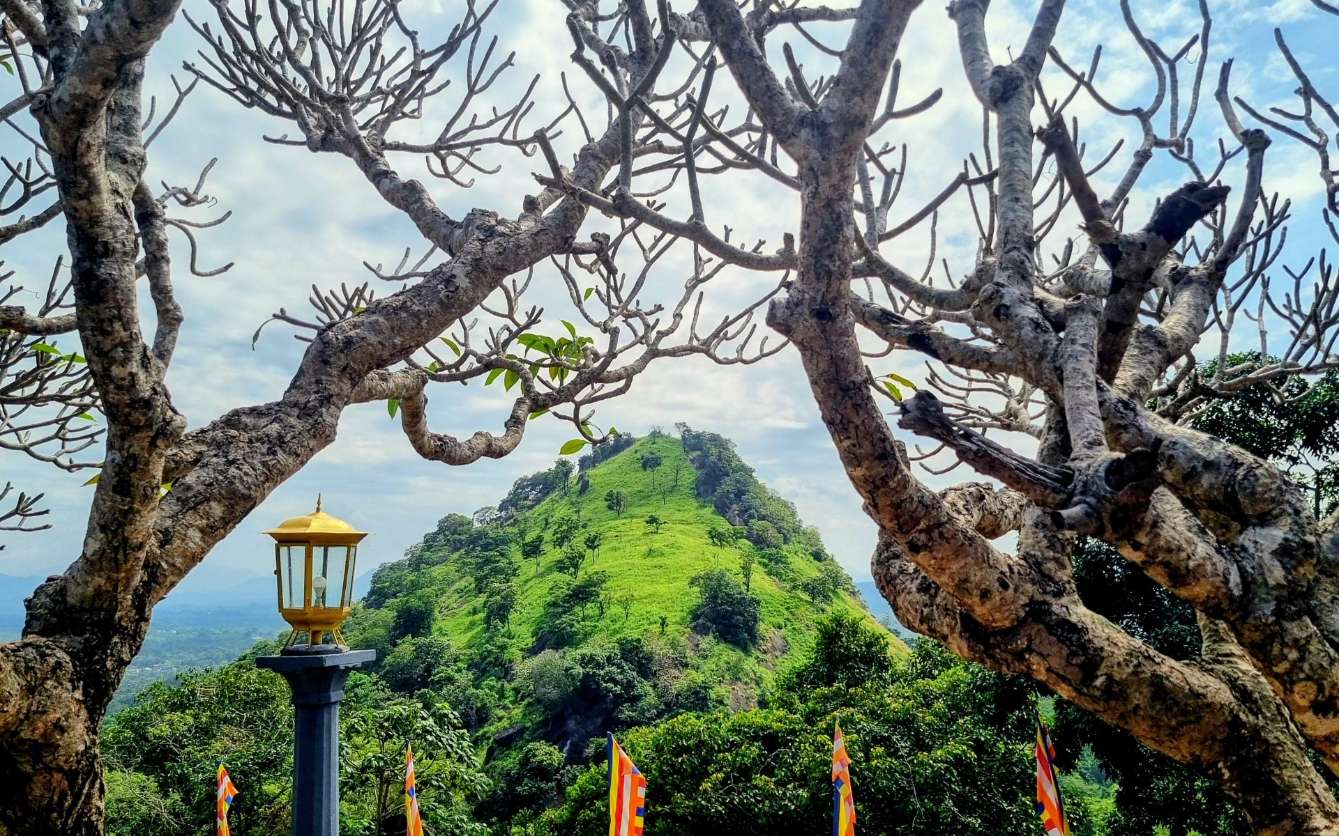Inde - Sri Lanka — étape 11 : Dambulla - Sigiriya