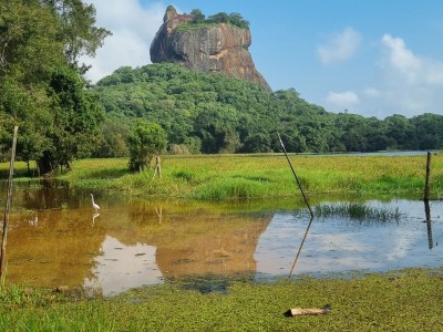 Inde - Sri Lanka — étape 11 : Dambulla - Sigiriya