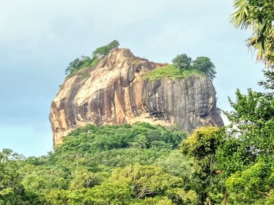 Inde - Sri Lanka — étape 11 : Dambulla - Sigiriya