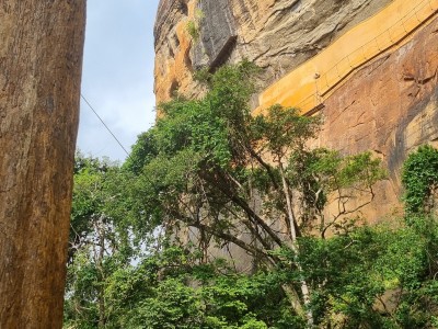 Inde - Sri Lanka — étape 11 : Dambulla - Sigiriya