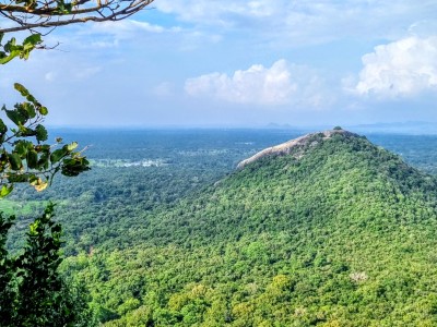 Inde - Sri Lanka — étape 11 : Dambulla - Sigiriya