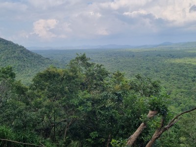 Inde - Sri Lanka — étape 11 : Dambulla - Sigiriya