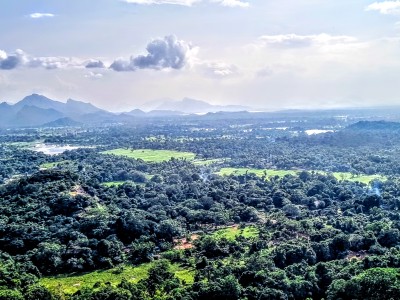 Inde - Sri Lanka — étape 11 : Dambulla - Sigiriya